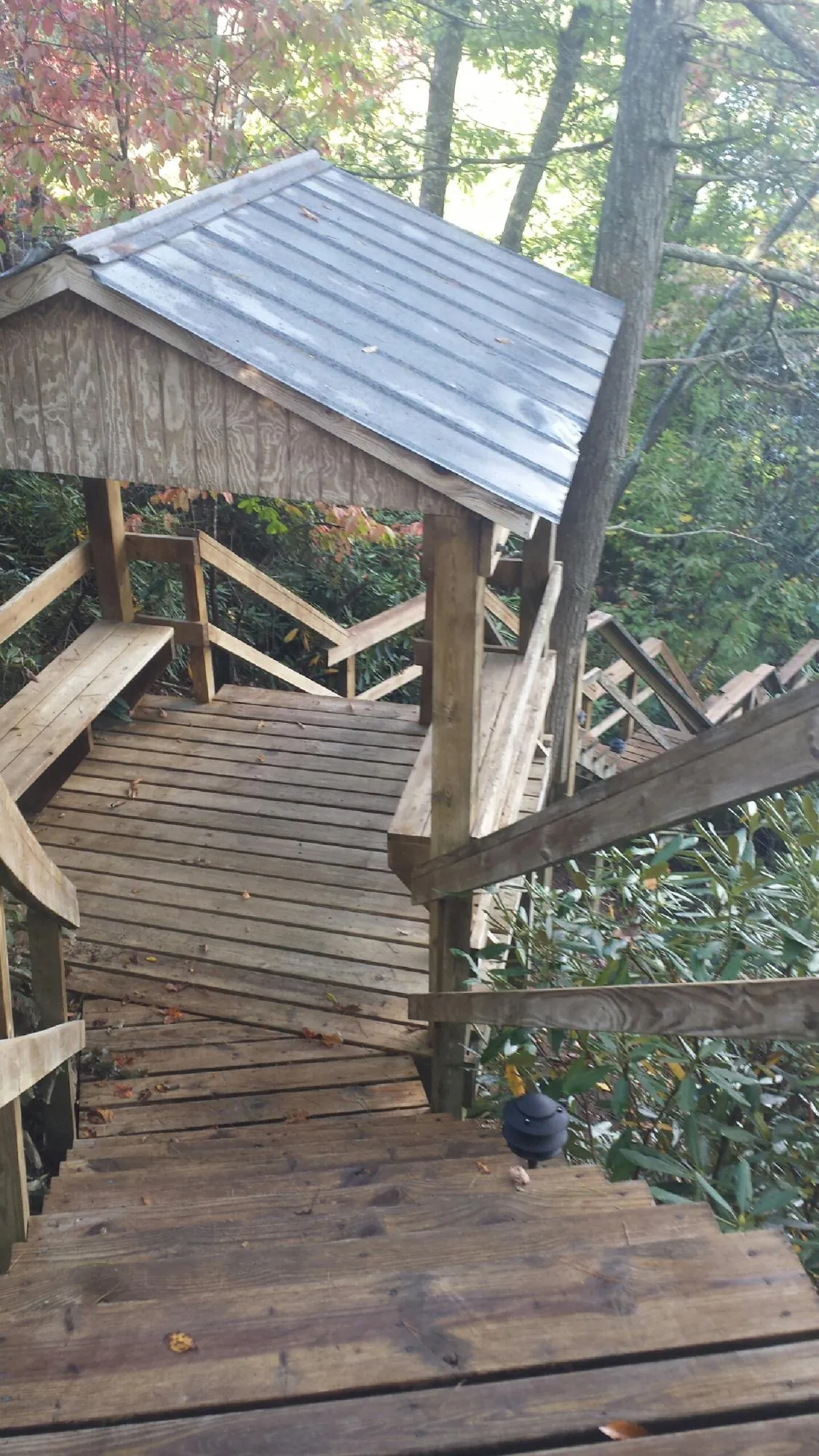 Metal roofed shelter over wooden steps on a wooded walkway — Skylight Repair & Installation work by our crew in Kirkland