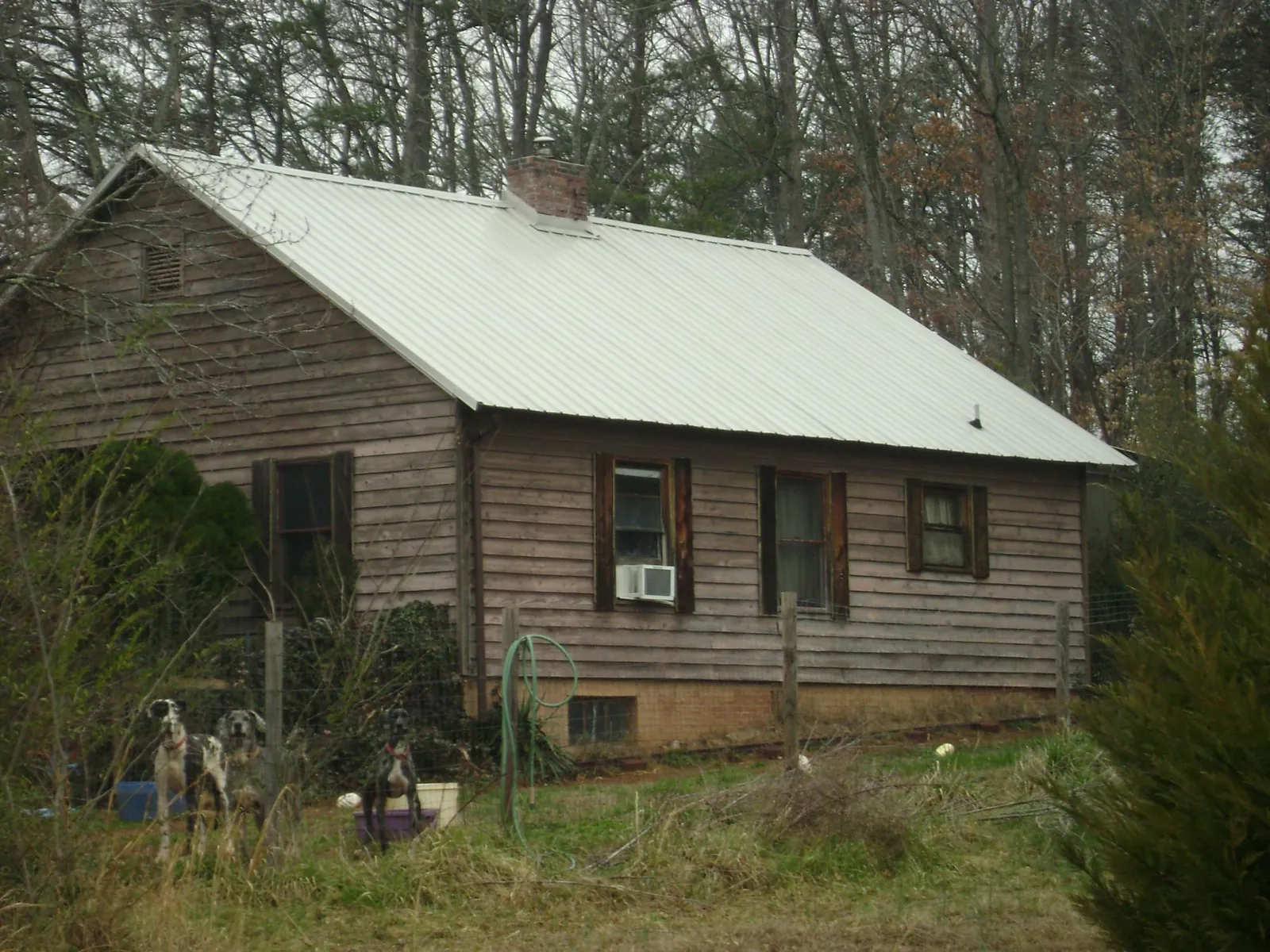 White metal roof on an old wood sided farmhouse, from a Metal Roof Installation job in Kirkland
